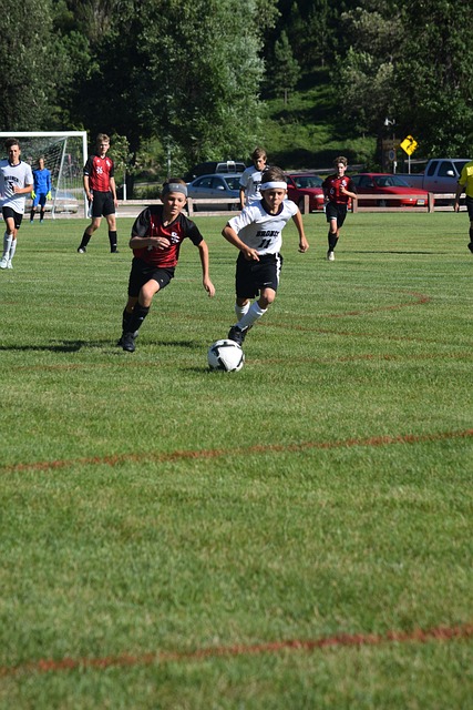 成为灰熊未 成为灰熊未