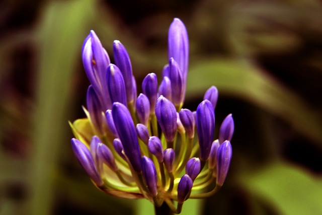 崛起的有力 崛起的有力