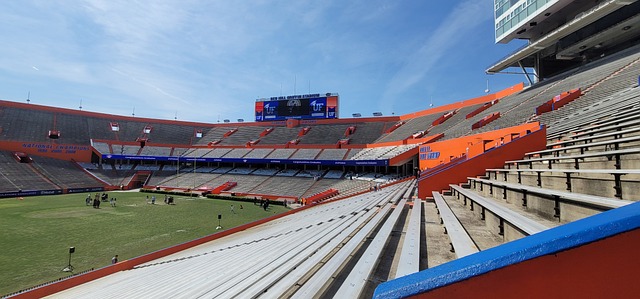 奠定坚实的 奠定坚实的