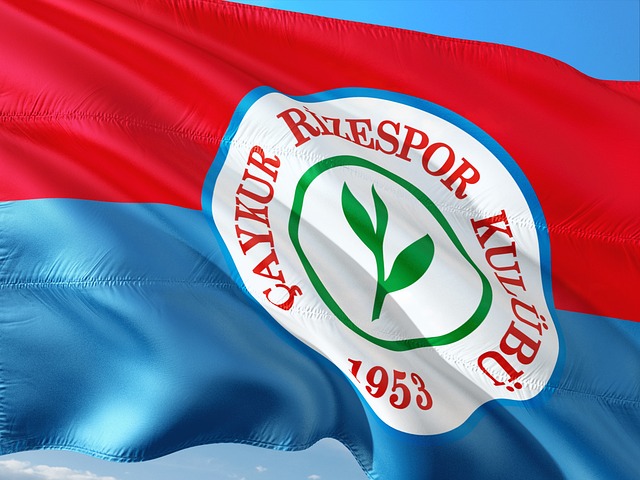 球界的发展 球界的发展