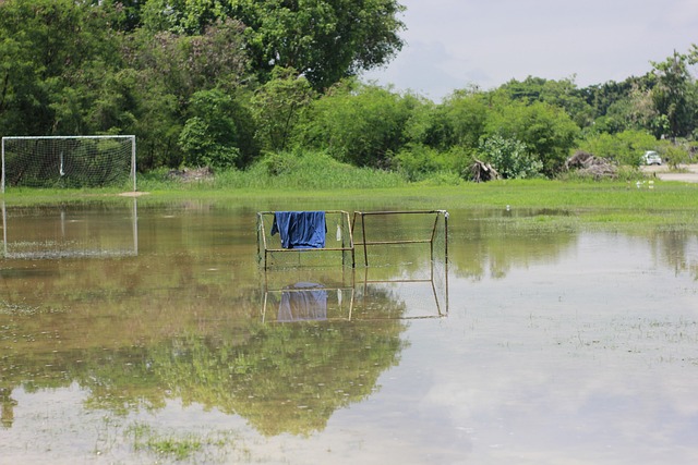 相比之下 相比之下