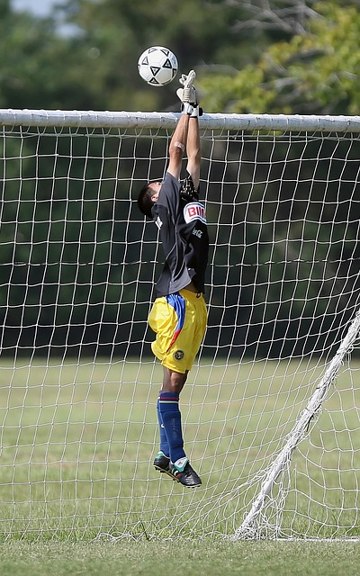 奇的悉心栽 奇的悉心栽