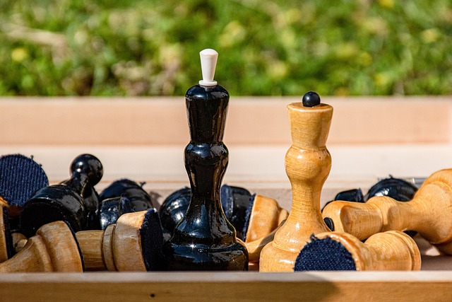 技和出色的 技和出色的