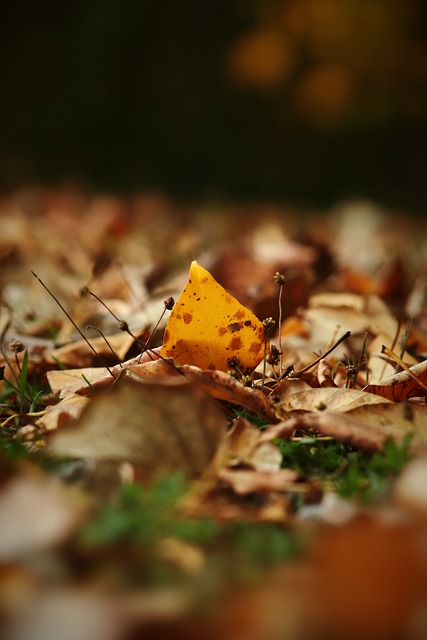 但反映出球 但反映出球